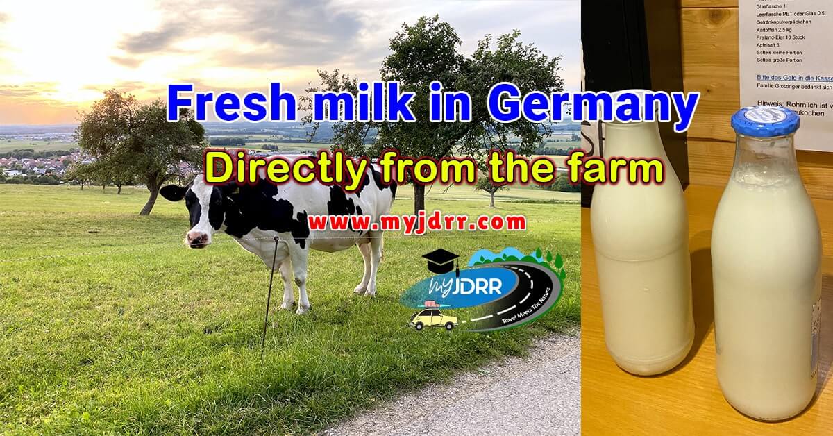 Fresh milk in Germany - Directly from the farm